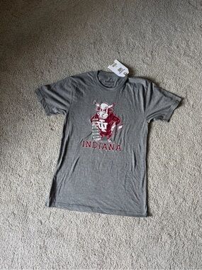 Indiana Short-Sleeve Gray Graphic Tee